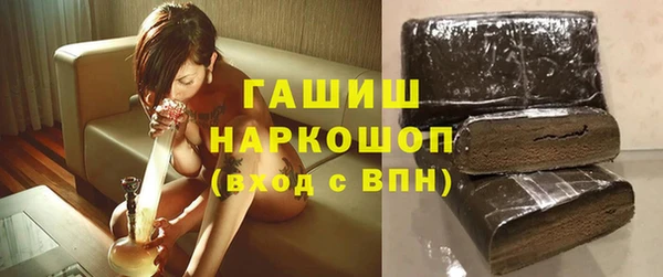 индика Михайловск