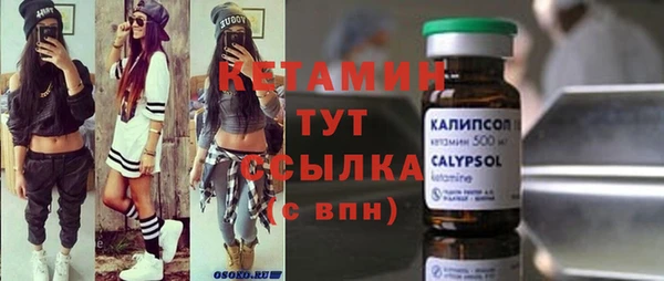 индика Михайловск