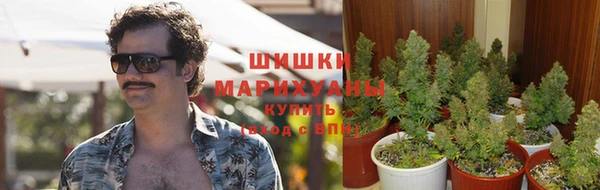 дживик Ачинск