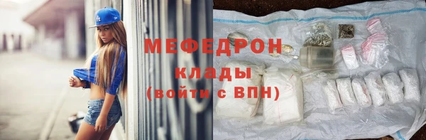 индика Михайловск