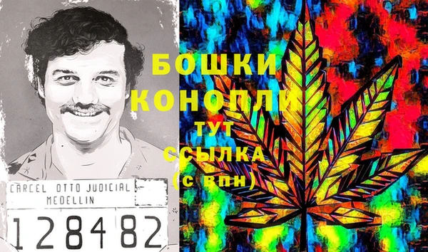 мдпв Михайлов