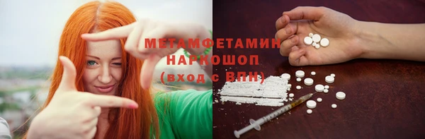 индика Михайловск