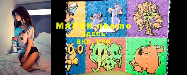 индика Михайловск