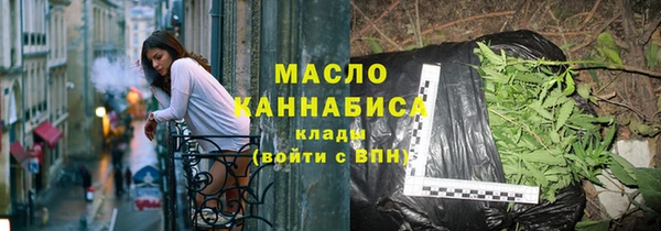 мдпв Михайлов