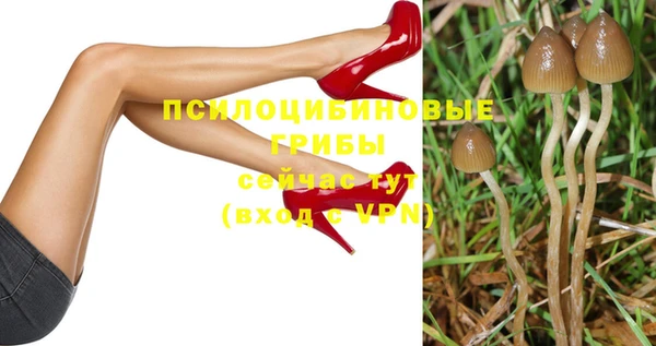 индика Наволоки