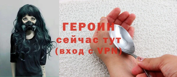 индика Михайловск