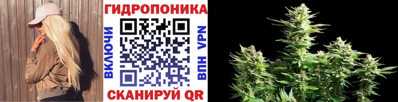 МАРИХУАНА OG Kush  Зубцов 